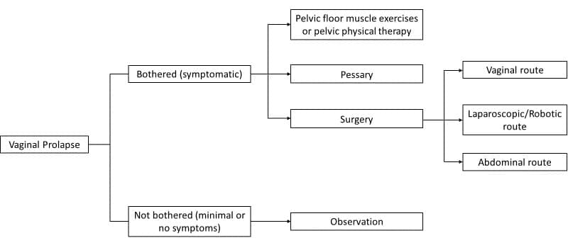 Uterine Prolapse in Emergency Medicine: Background, Pathophysiology,  Etiology