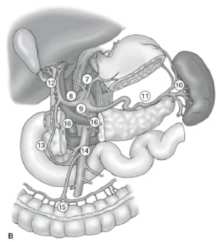 Fig. 2b