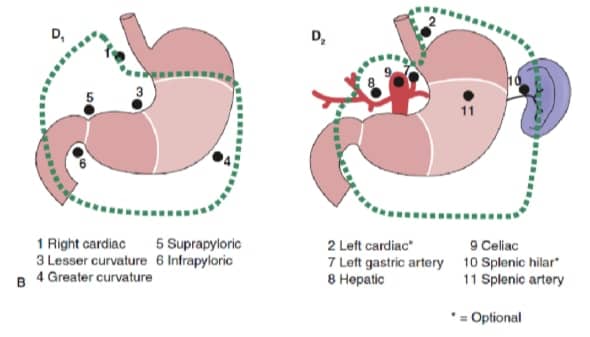 Fig. 3b