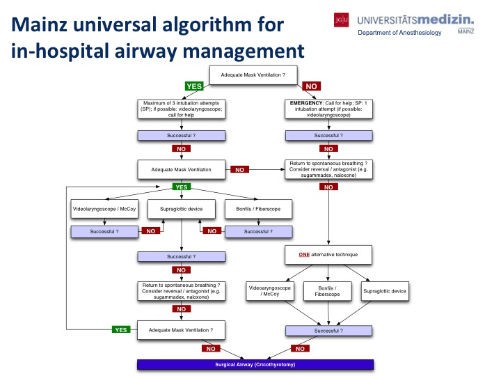 Mainz Universal Algorithm for In-Hospital Airway Management. Ott T, Truschinski K, Kriege M, et al. [Algorithm for securing a