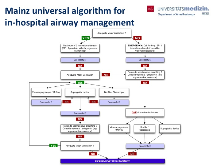 병원 내 기도 관리를 위한 마인츠 범용 알고리즘. Ott, T., et al. 예상치 못한 어려운 기도를 확보하기 위한 알고리즘: 시뮬레이터에 대한 사용자 분석. 마취과 의사. 2018. 1 월;67(1):18-26. 도이 